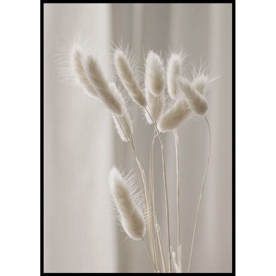 plakat suche trawy 30x40 cm