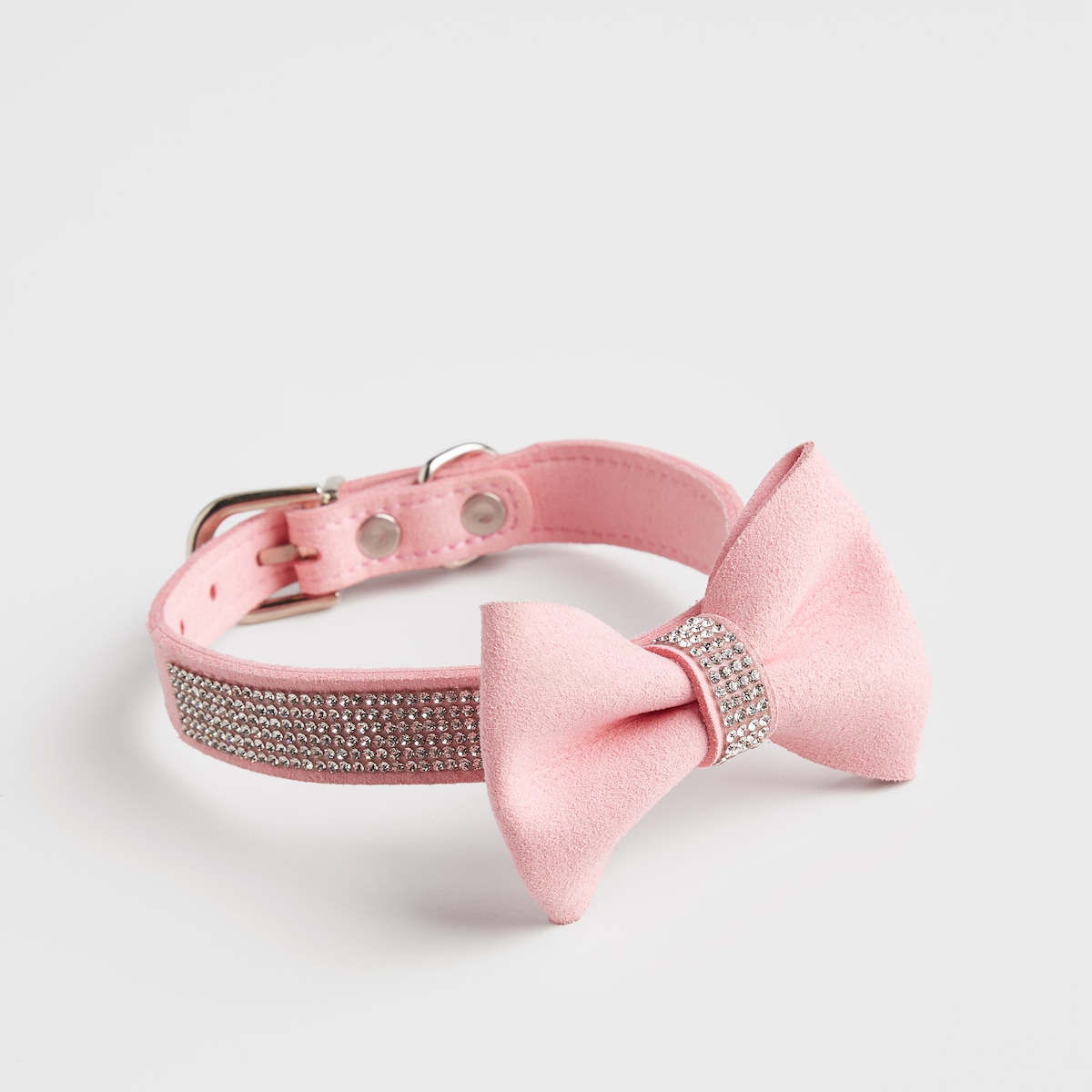 Obroża dla zwierząt Astri