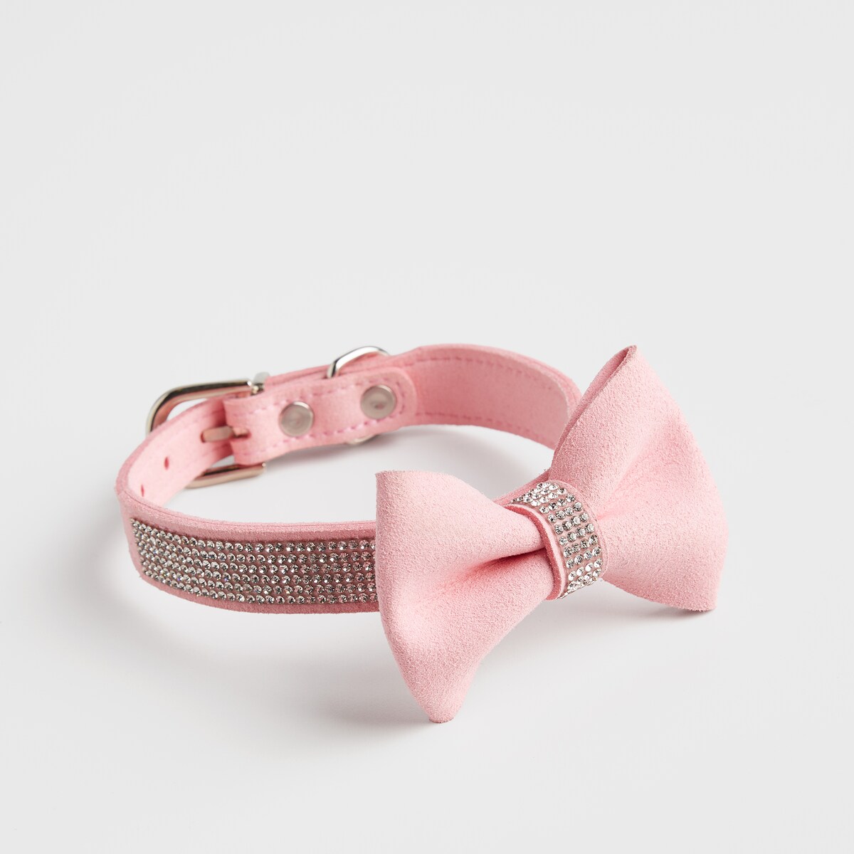 Obroża dla zwierząt Astri