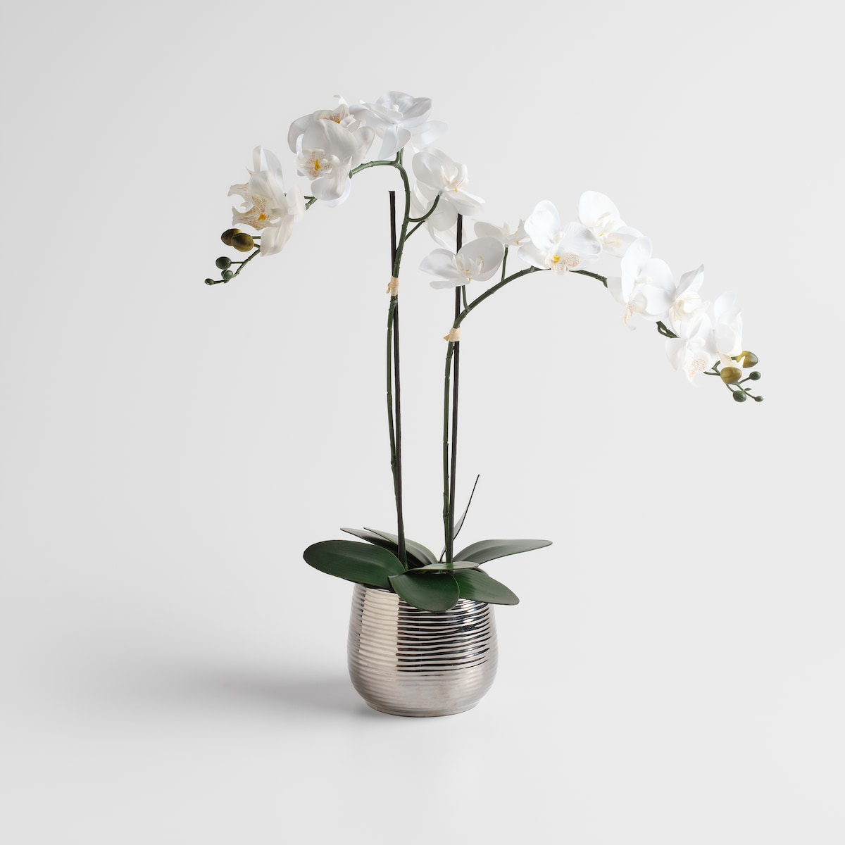 Stroik Orcheniso z motywem roślinnym