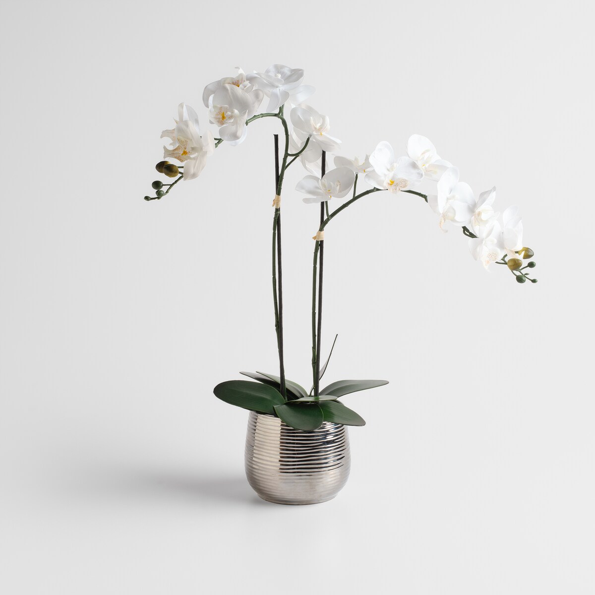 Stroik Orcheniso z motywem roślinnym