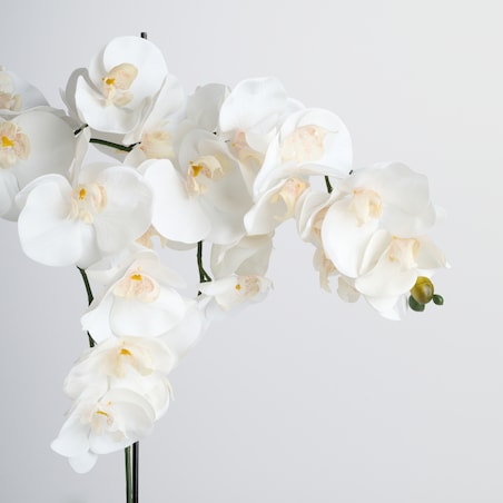 Stroik Orchianum big z motywem roślinnym