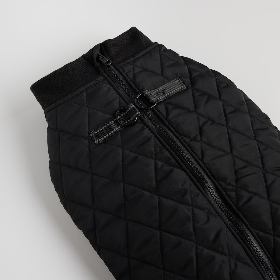 Ubranko Dla Zwierzaka Celio