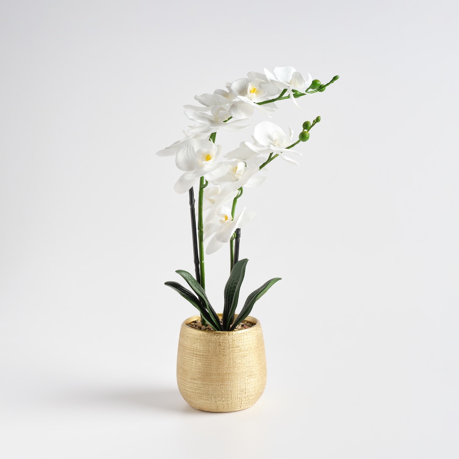 Stroik Orchalica z motywem roślinnym