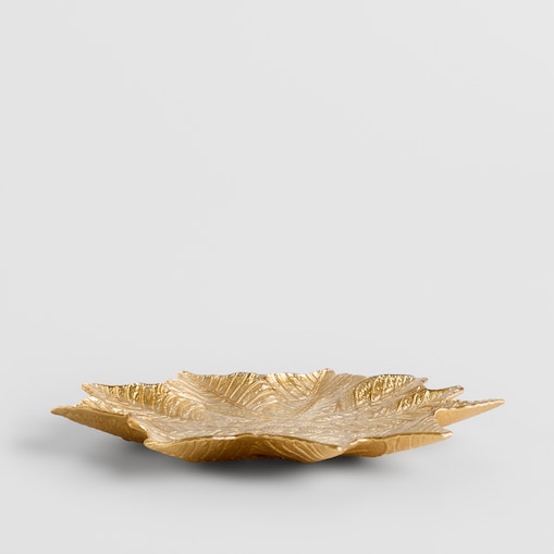 Patera Poinseto