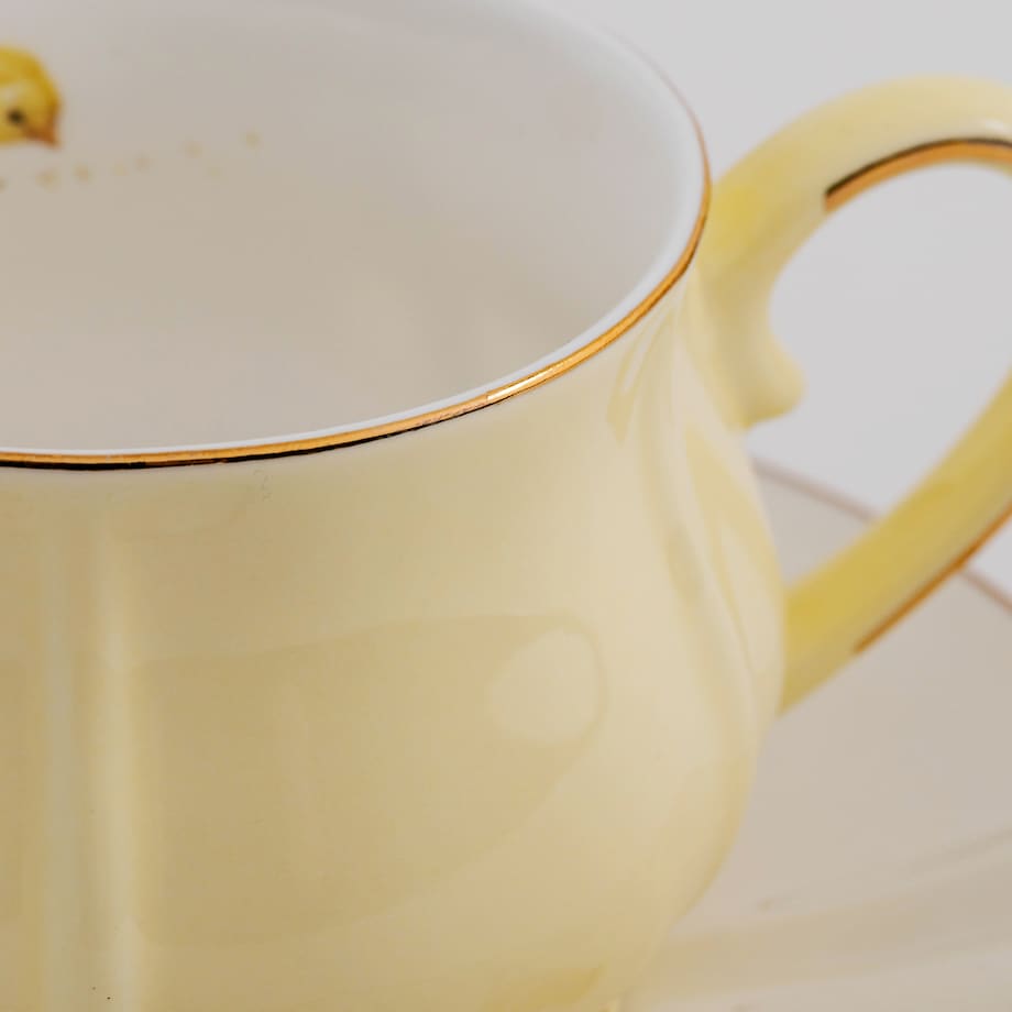 Filiżanka Ze Spodkiem Pitiki