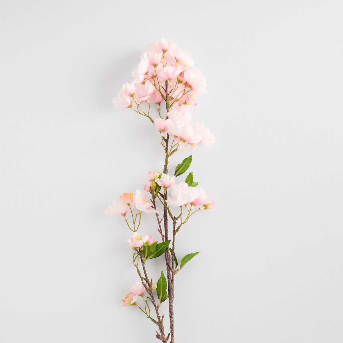 Kwiat Cerezo z motywem roślinnym