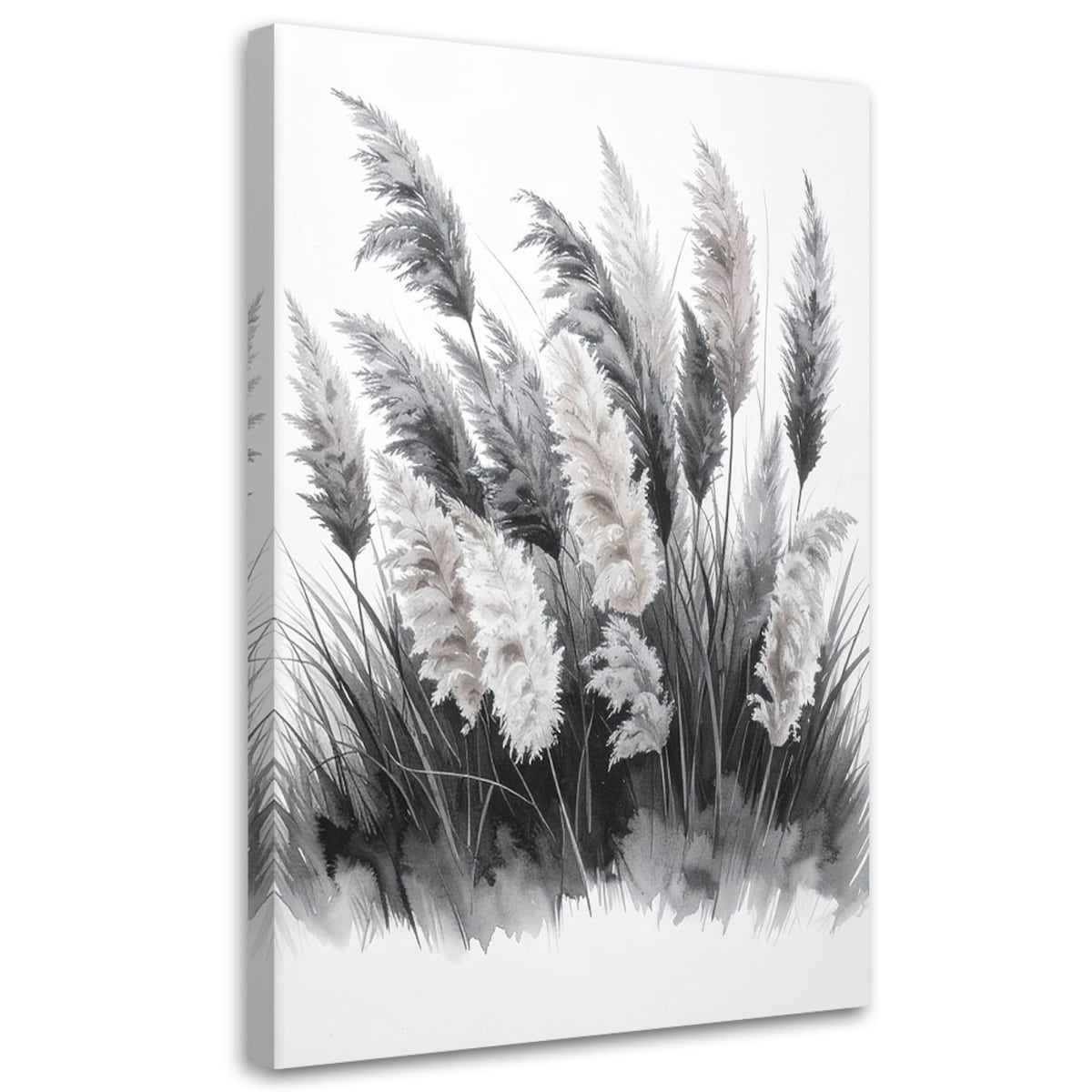 Obraz do salonu sypialni kuchni, Trawy pampasowe czarno białe 80x120
