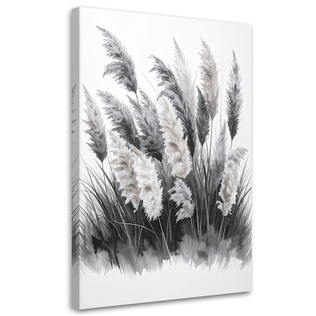 Obraz do salonu sypialni kuchni, Trawy pampasowe czarno białe 80x120