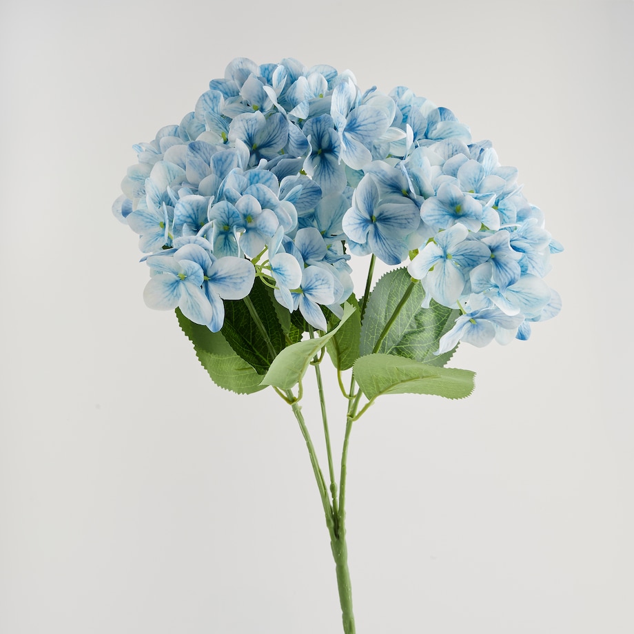 Bukiet Hortensio z motywem roślinnym