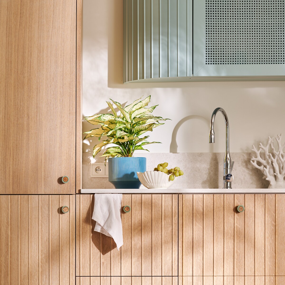 Misa Stellamarina z motywem morskim