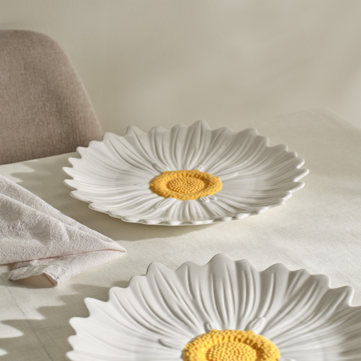 Patera Daisies