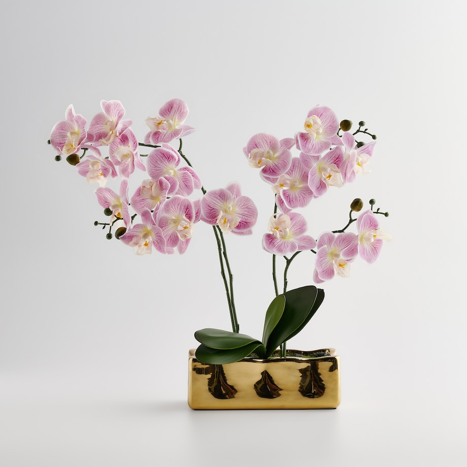 Stroik Orchianum z motywem roślinnym