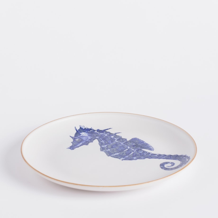 Patera Seahorsi