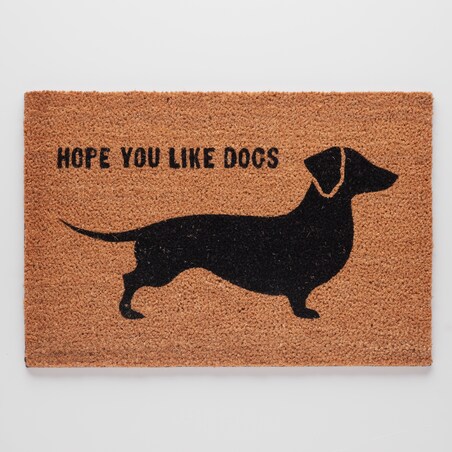 Wycieraczka Dogo 40x60 cm