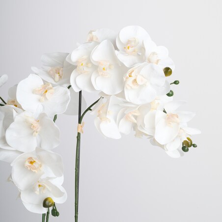 Stroik Orchianum big z motywem roślinnym