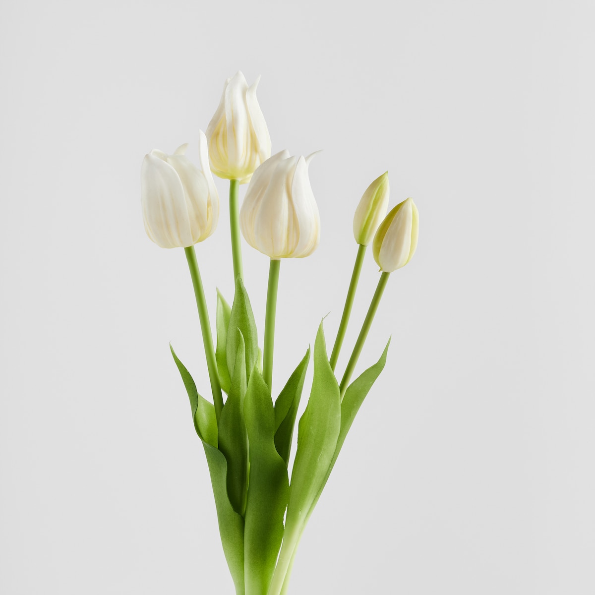 Bukiet Tulipaniso