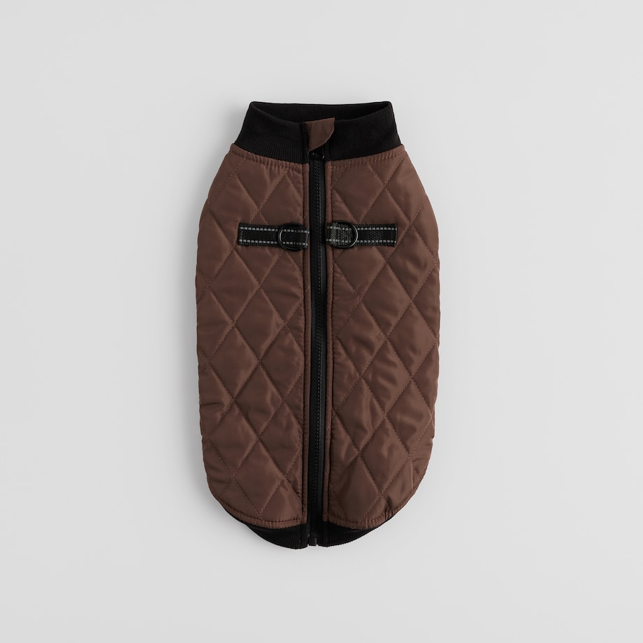 Ubranko Dla Zwierzaka Celio