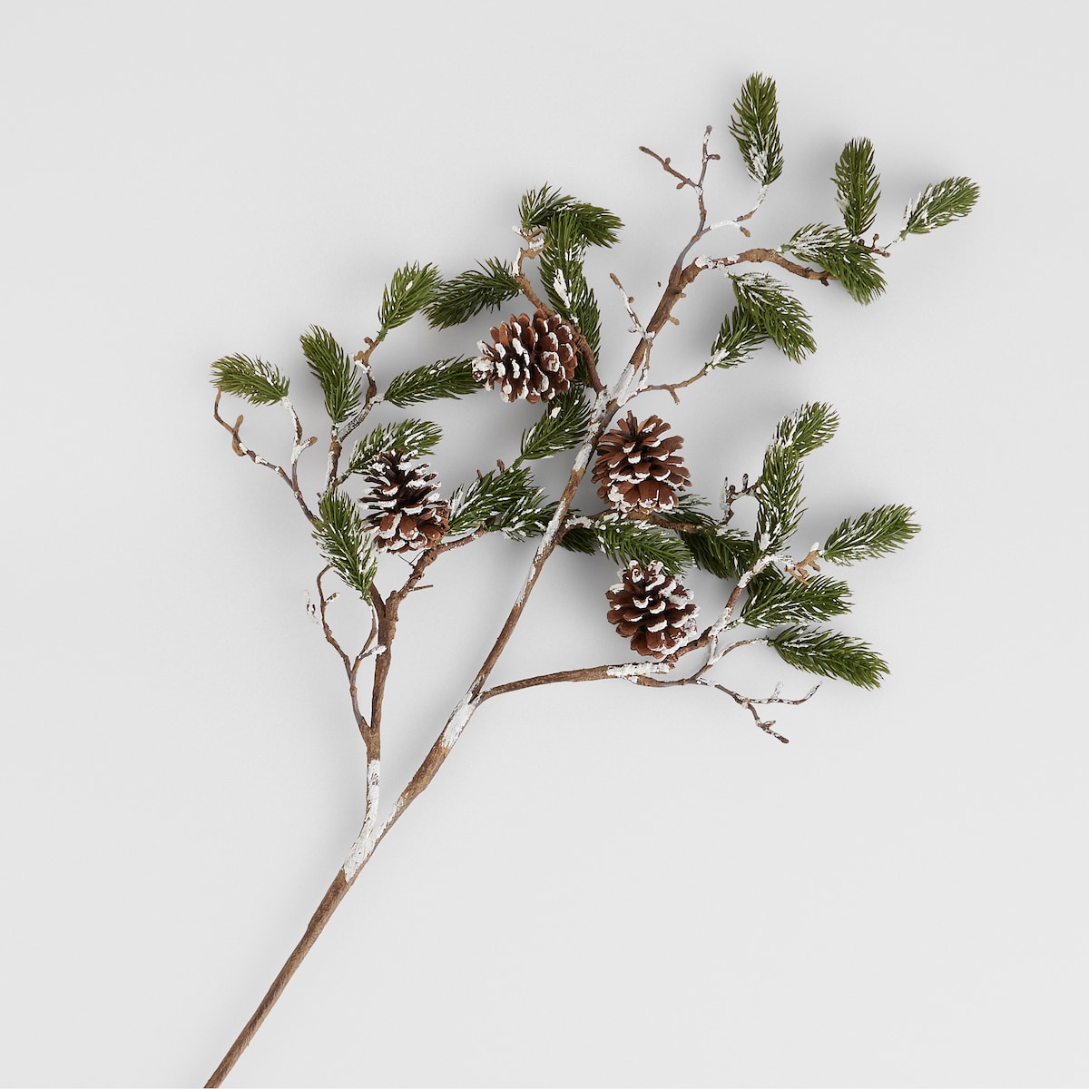 Bukiet Conifer