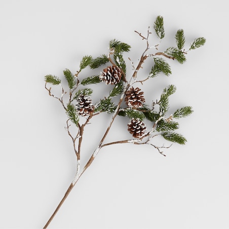 Bukiet Conifer