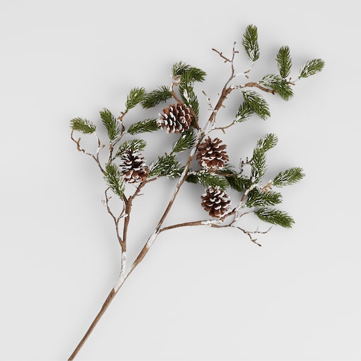 Bukiet Conifer