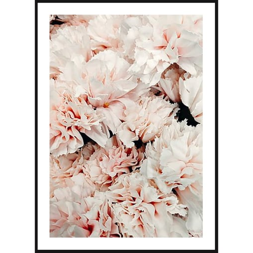Poster Story, Plakat, Obraz - Bukiet Koralowych Piwoni, wymiary 50 x 70 cm
