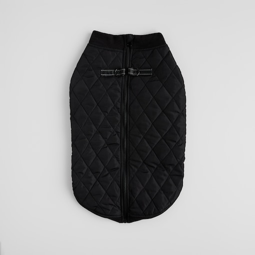 Ubranko Dla Zwierzaka Celio