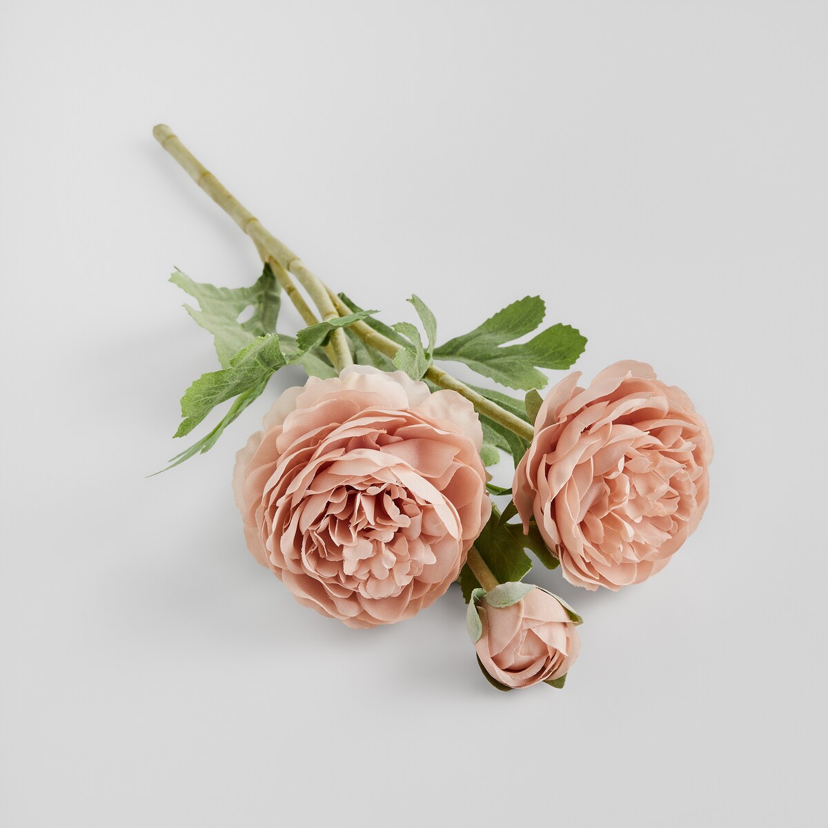 Kwiat Ramoso z motywem kwiatowym