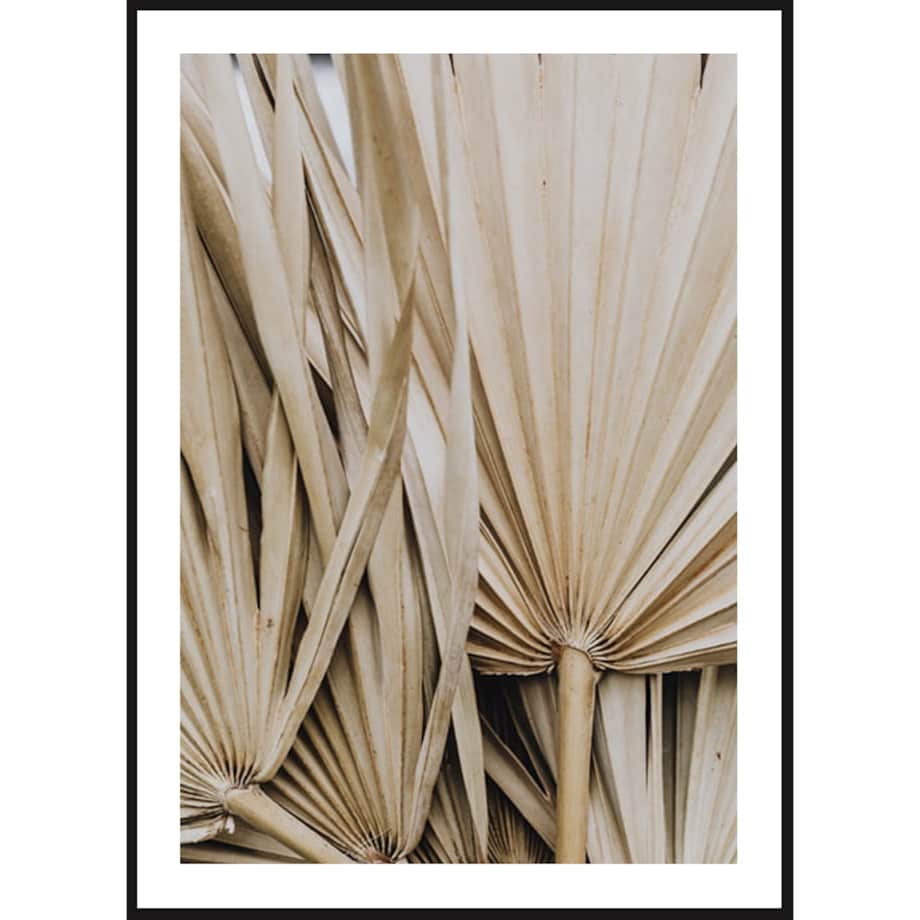 Poster Story, Plakat, Obraz - Beżowa Palma No3, wymiary 42 x 60 cm