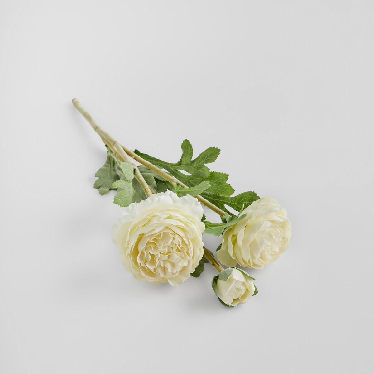 Kwiat Ramoso z motywem kwiatowym