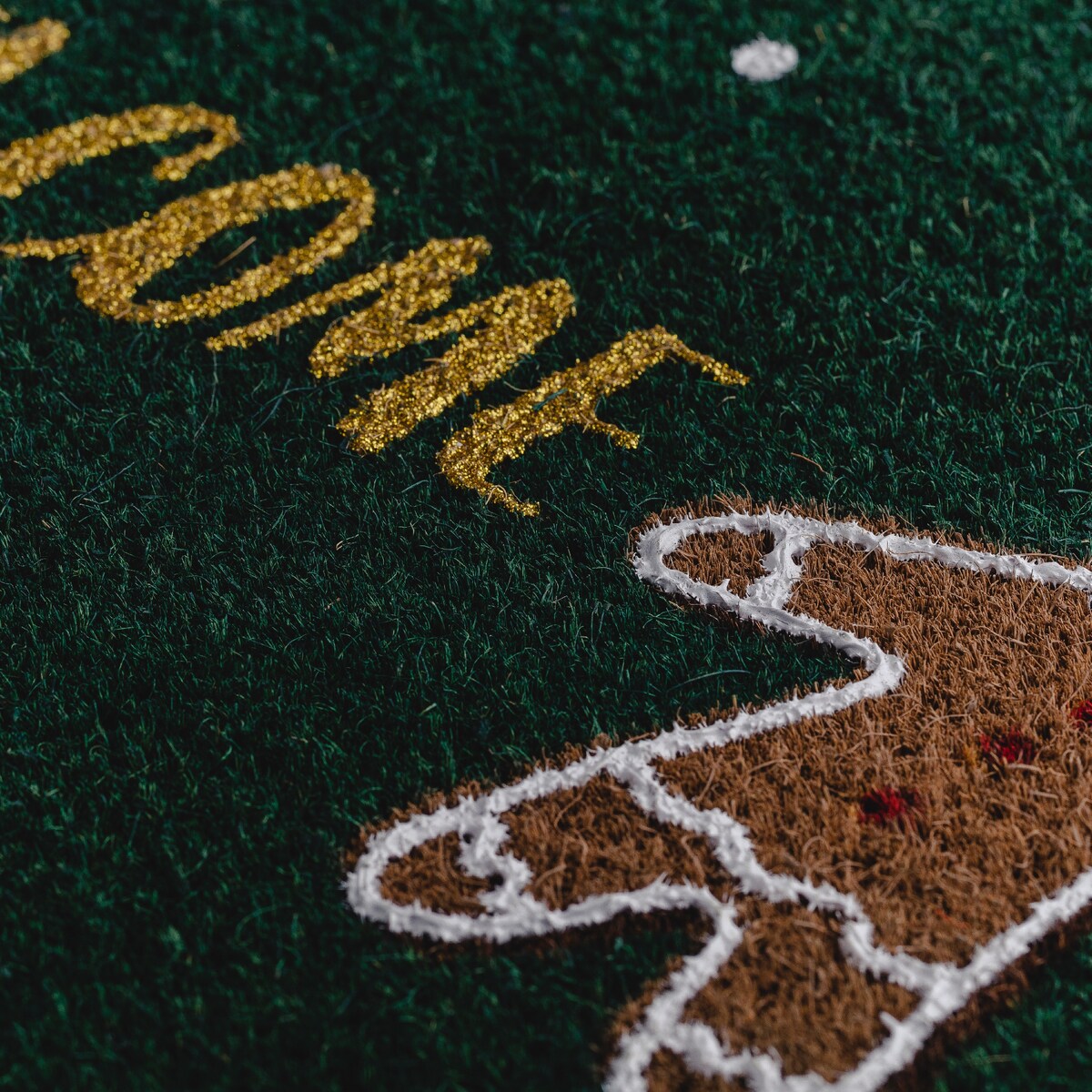 Wycieraczka Ginger 40x60 cm