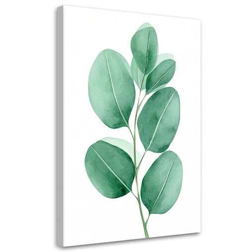 Feeby Obraz na płótnie, Liście Akwarela Zieleń Minimalizm 60x90