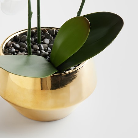 Stroik Orchitio z motywem roślinnym