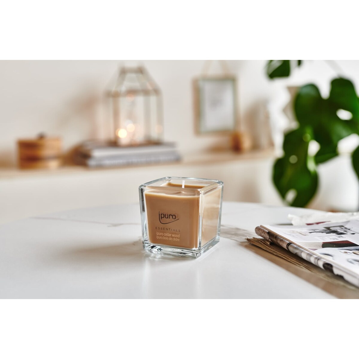 Świeca zapachowa ipuro ESSENTIALS Cedar Wood 125 g