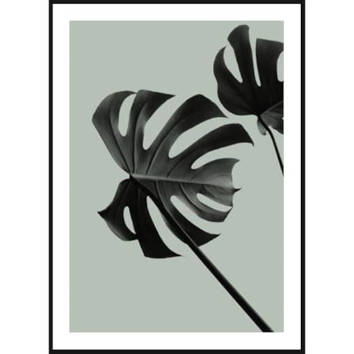 Poster Story, Plakat, Obraz - Monstera na Zielonym Tle No2