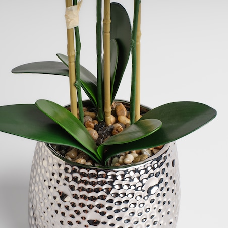 Stroik Orchillo z motywem roślinnym