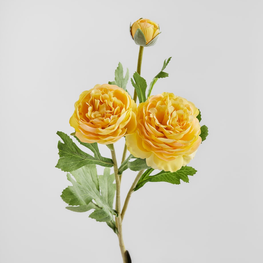 Kwiat Ramoso z motywem kwiatowym