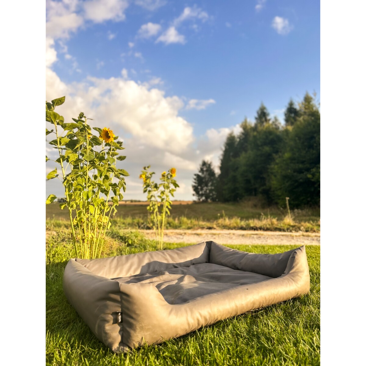 Legowisko dla psa z ekoskóry MARIO, 100x70 cm, Szary