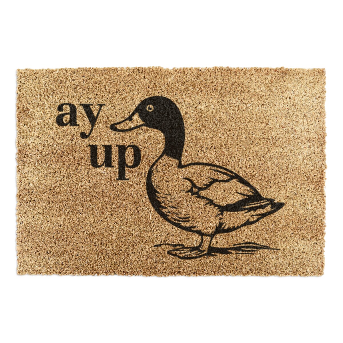 Wycieraczka Ay Up Duck (60 x 40 cm)