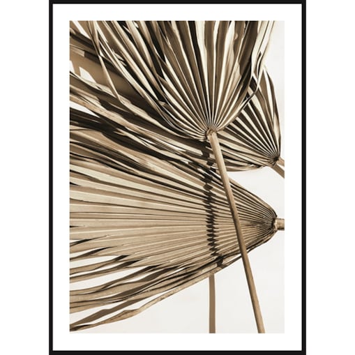 Poster Story, Plakat, Obraz - Beżowe Liście Palmy, wymiary 30 x 42 cm
