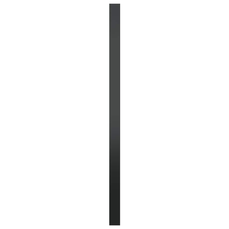 vidaXL Lustro ścienne, czarne, 60 cm