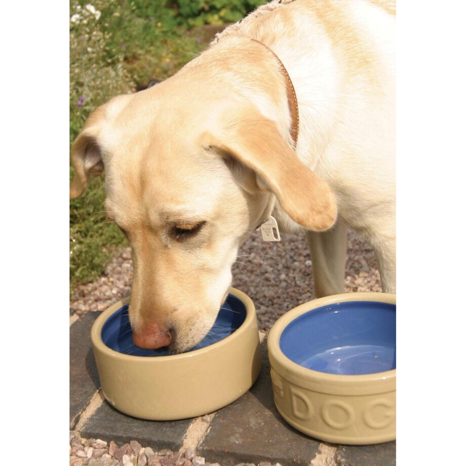 Miska na karmę lub wodę dla psa Cane&Coloured, 13 cm, Mason Cash