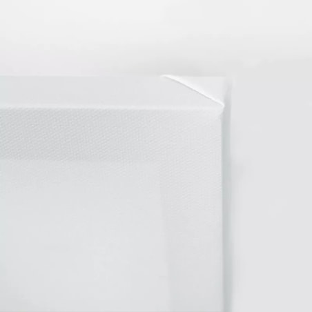 Feeby Obraz na płótnie, Skrzydła Retro Vintage 50x50