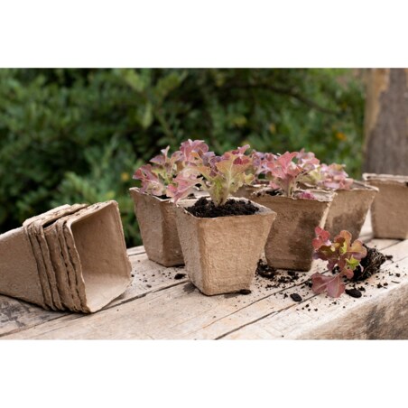 20 X Doniczki Torfowe Do Rozsady Wysiewu Pikowania Sadzonki