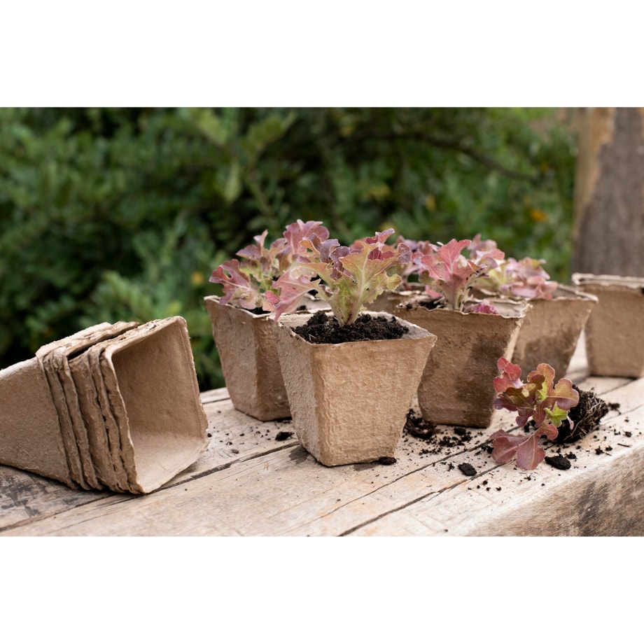 20 X Doniczki Torfowe Do Rozsady Wysiewu Pikowania Sadzonki