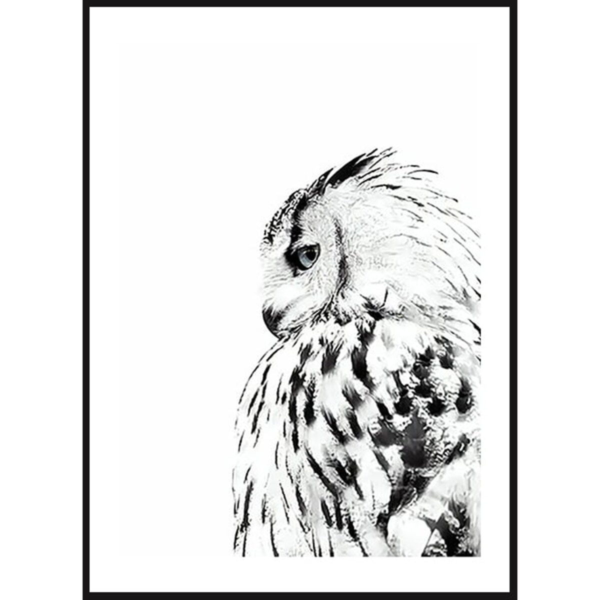 Poster Story, Plakat, Obraz - Sowa w Akwareli, wymiary 30 x 42 cm