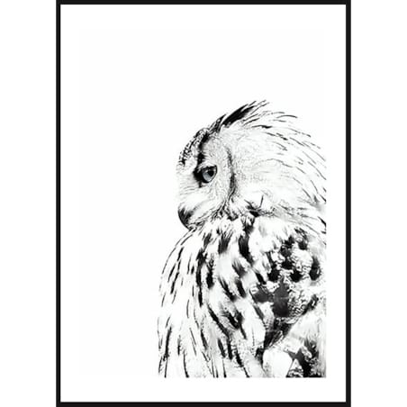 Poster Story, Plakat, Obraz - Sowa w Akwareli, wymiary 30 x 42 cm