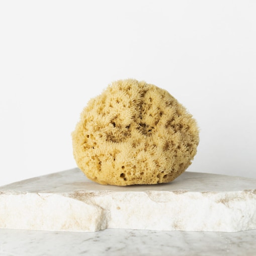 Naturalna gąbka morska (brązowa) - 12,5 cm 01F