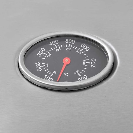 vidaXL Grill gazowy ze strefą gotowania 4+1, kolor srebrny