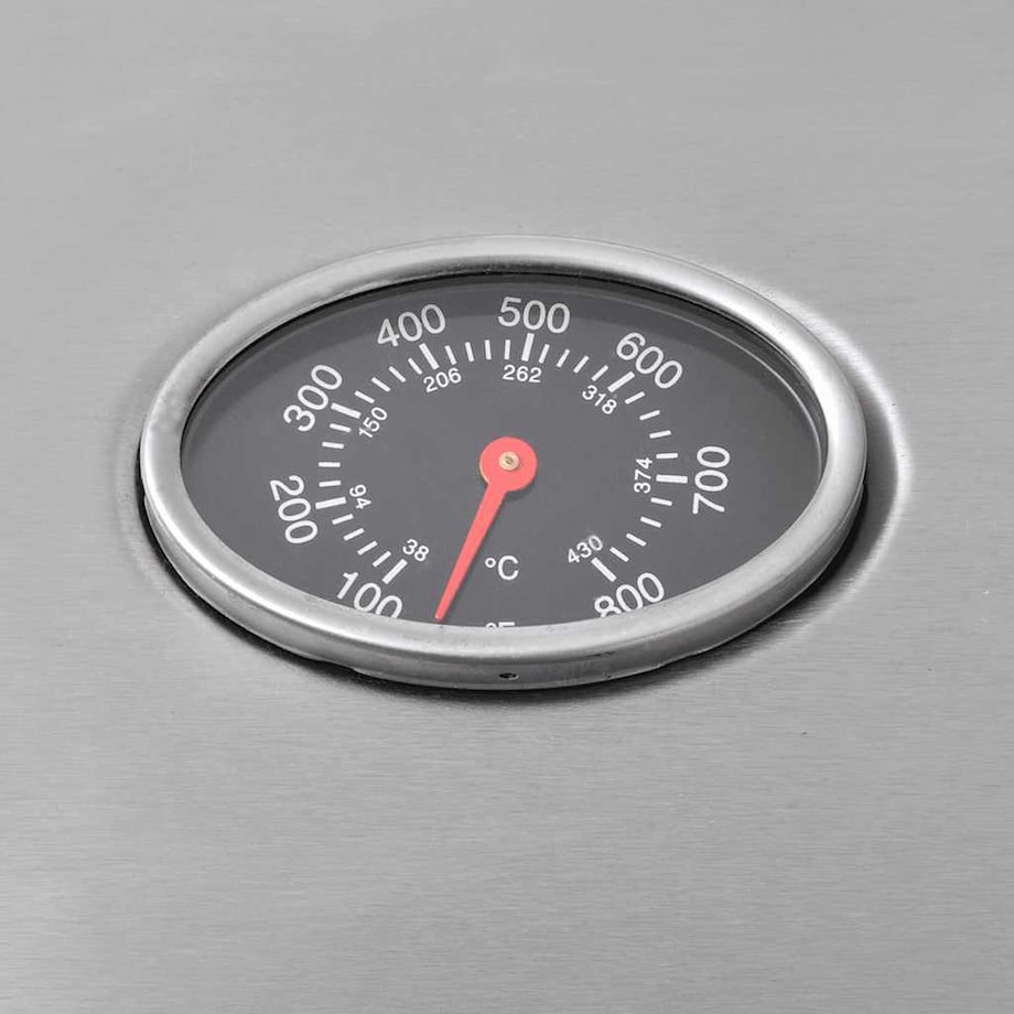 vidaXL Grill gazowy ze strefą gotowania 4+1, kolor srebrny